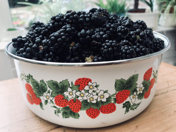 A bowl of fresh blackberries