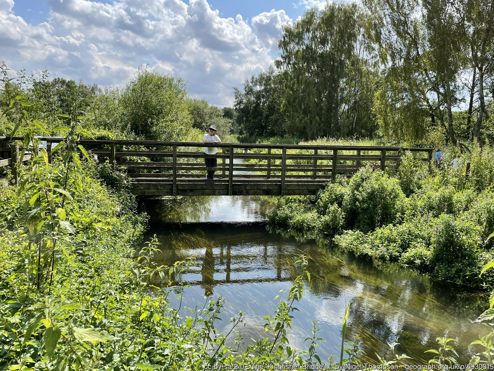 The 'Kingfisher Bridge', Pensthorpe Natural Park