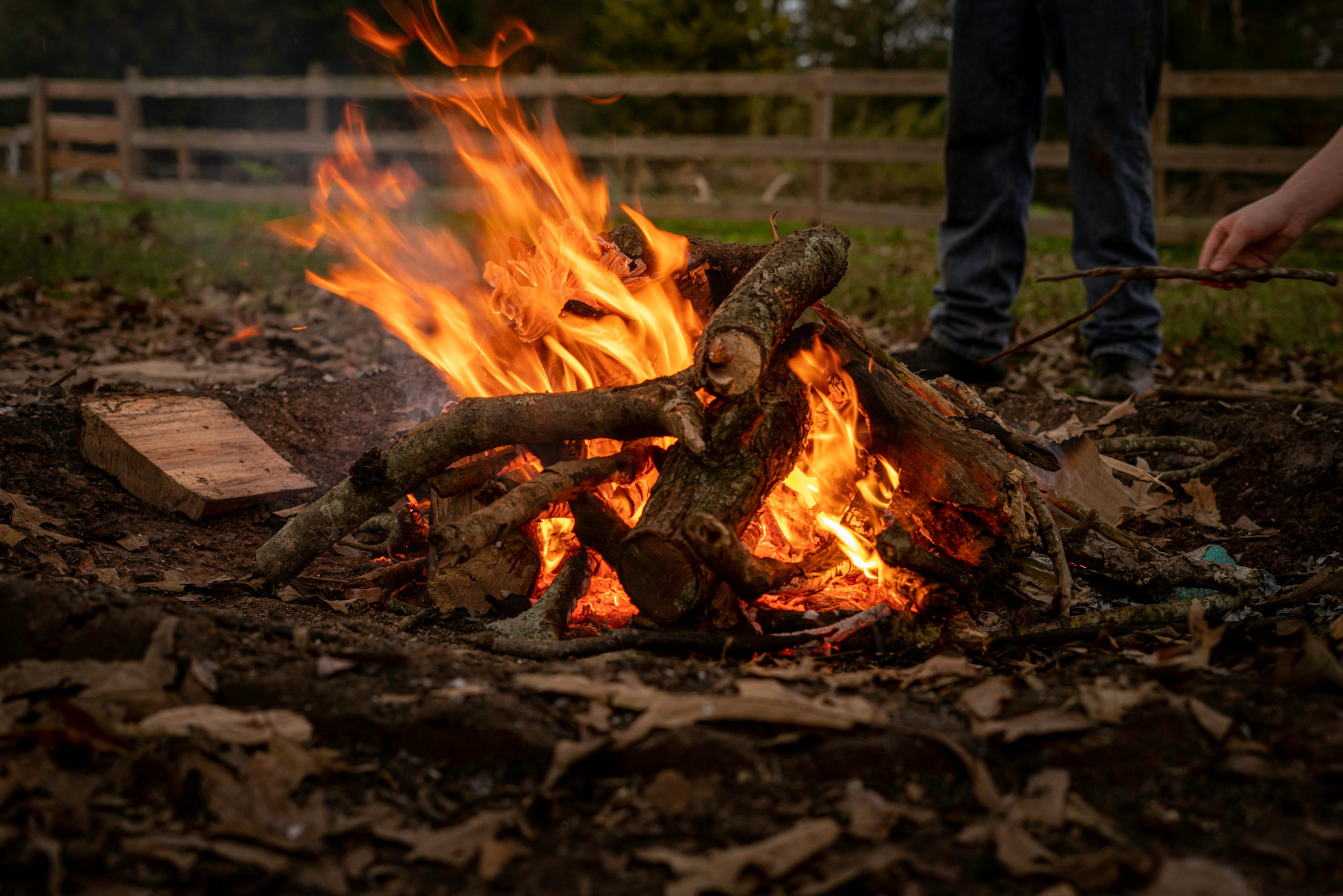 Close up shot of a bonfire with a hand adding extra twigs