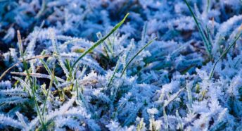 Close up of winter frost on grass