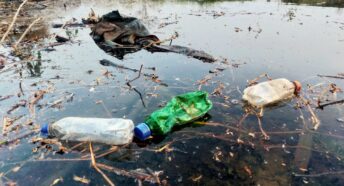 Discarded plastic bottles and other litter in a river