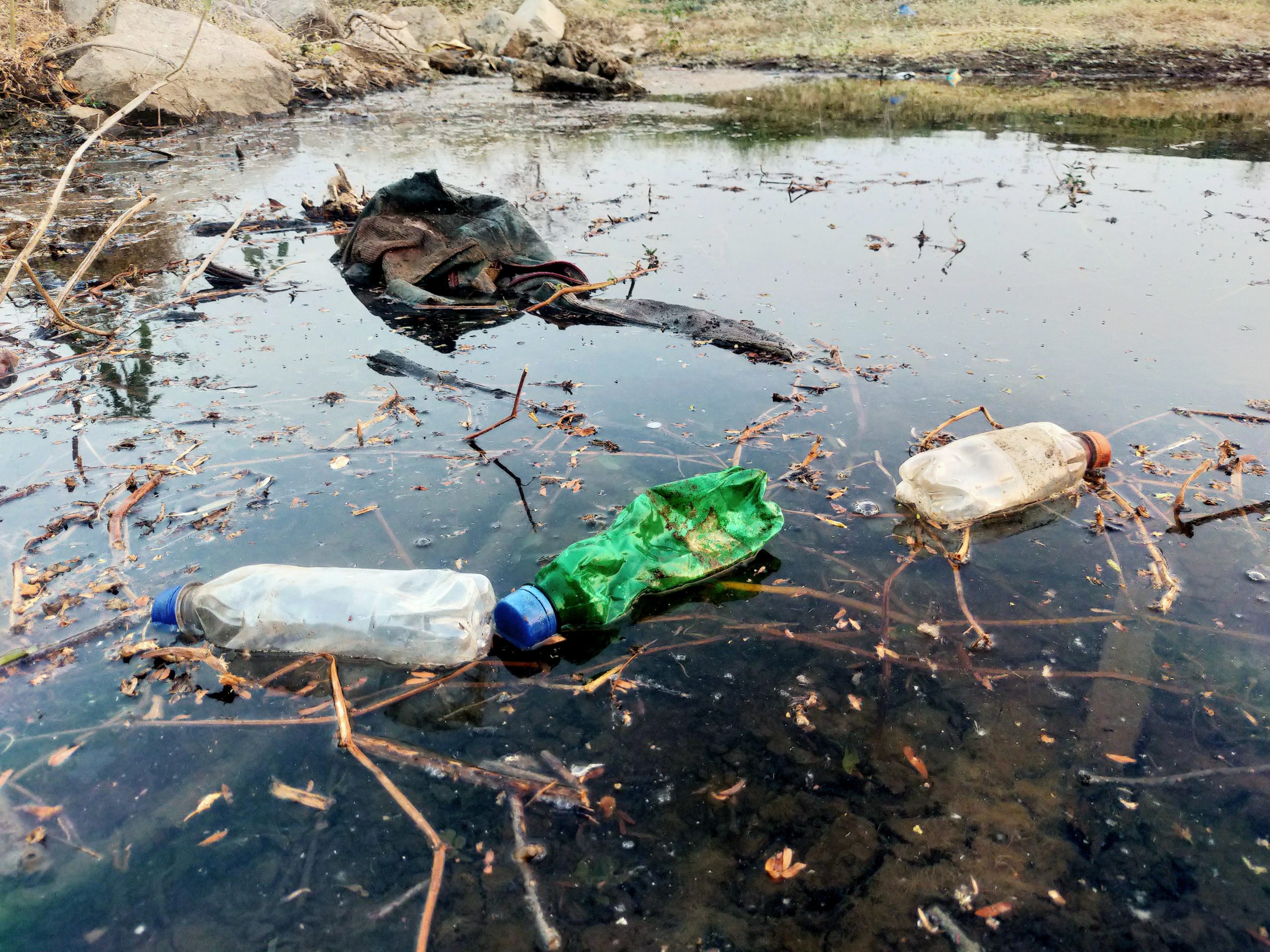 Discarded plastic bottles and other litter in a river